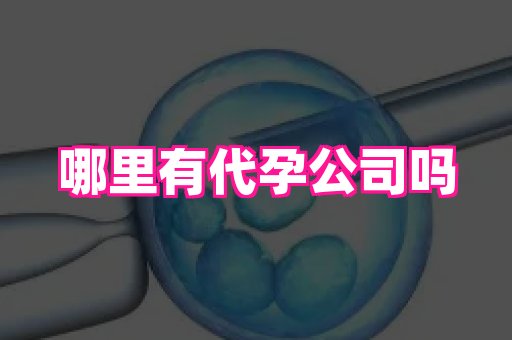安徽助孕网 2